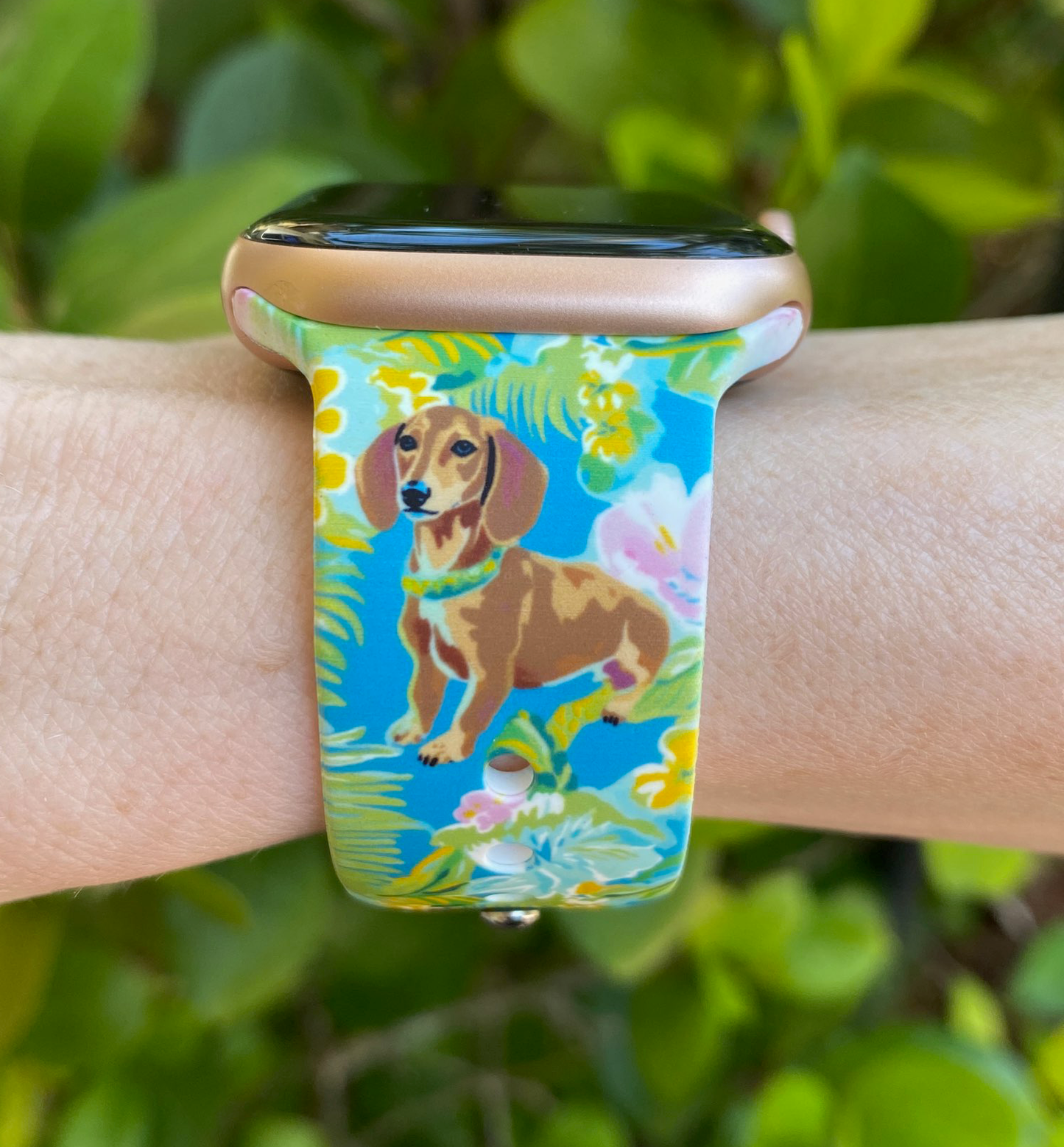 Dachshund Dog Apple Watch Band