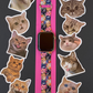 Cats Apple Watch Band